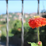 別荘 Il Balcone Delle Dee *