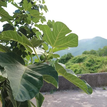 Il Balcone Delle Dee