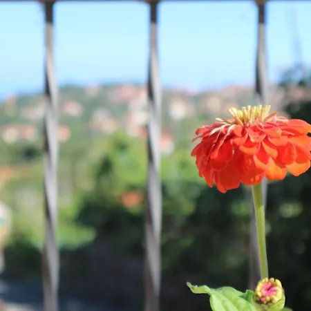 Tatil Evi Il Balcone Delle Dee *