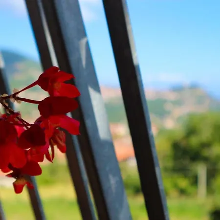 Il Balcone Delle Dee Casa de Férias *